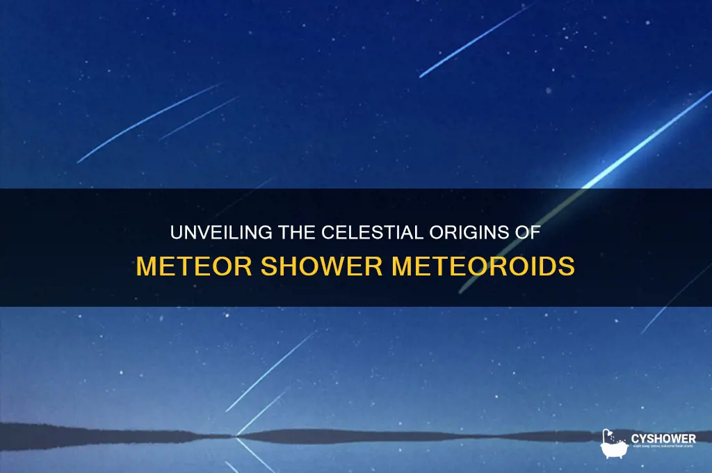 what is the major source of meteor shower meteoroids
