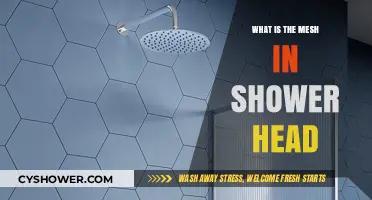 Understanding the Mesh in Your Shower Head: Function and Benefits