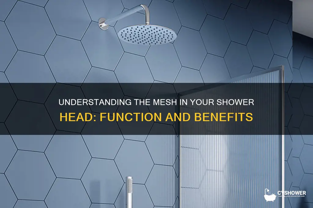what is the mesh in shower head