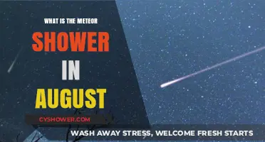 August's Perseid Meteor Shower: A Celestial Spectacle Explained