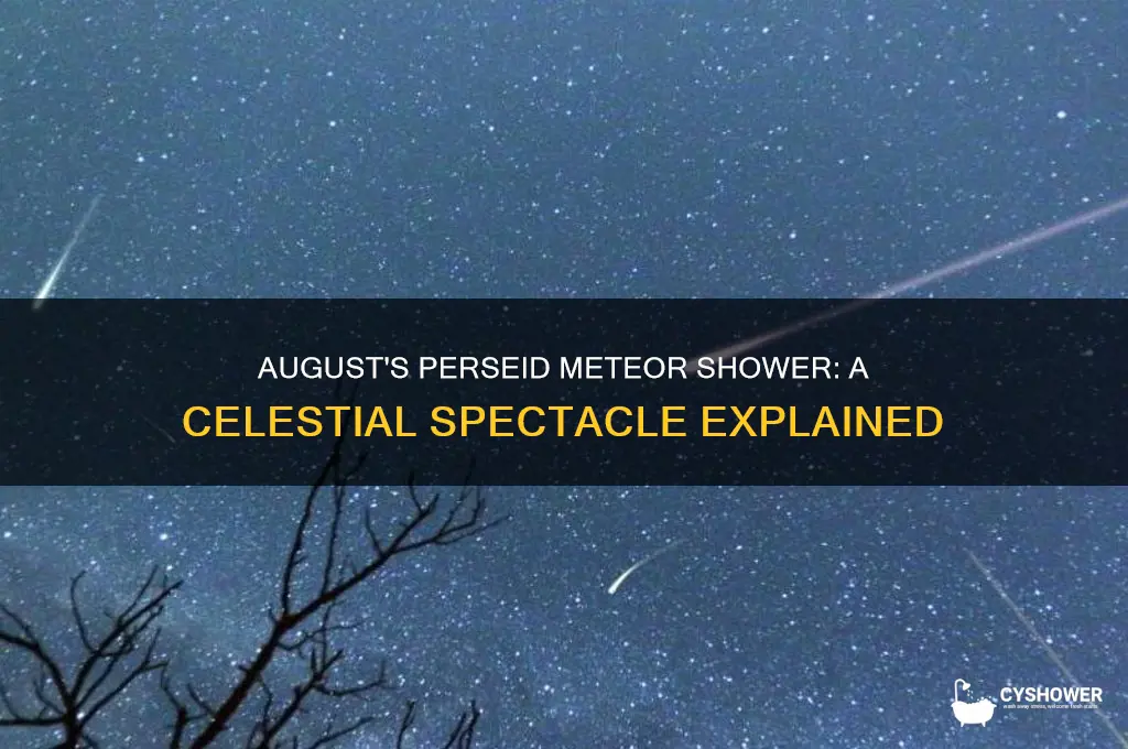 what is the meteor shower in august