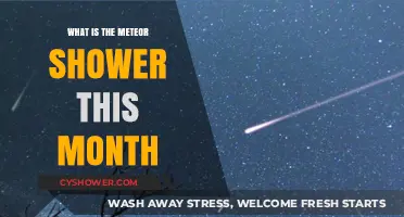August's Celestial Spectacle: This Month's Meteor Shower Explained