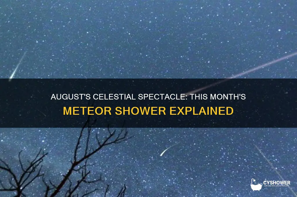what is the meteor shower this month