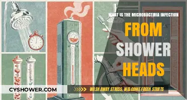 Shower Head Microbacteria: Unseen Dangers and How to Stay Safe
