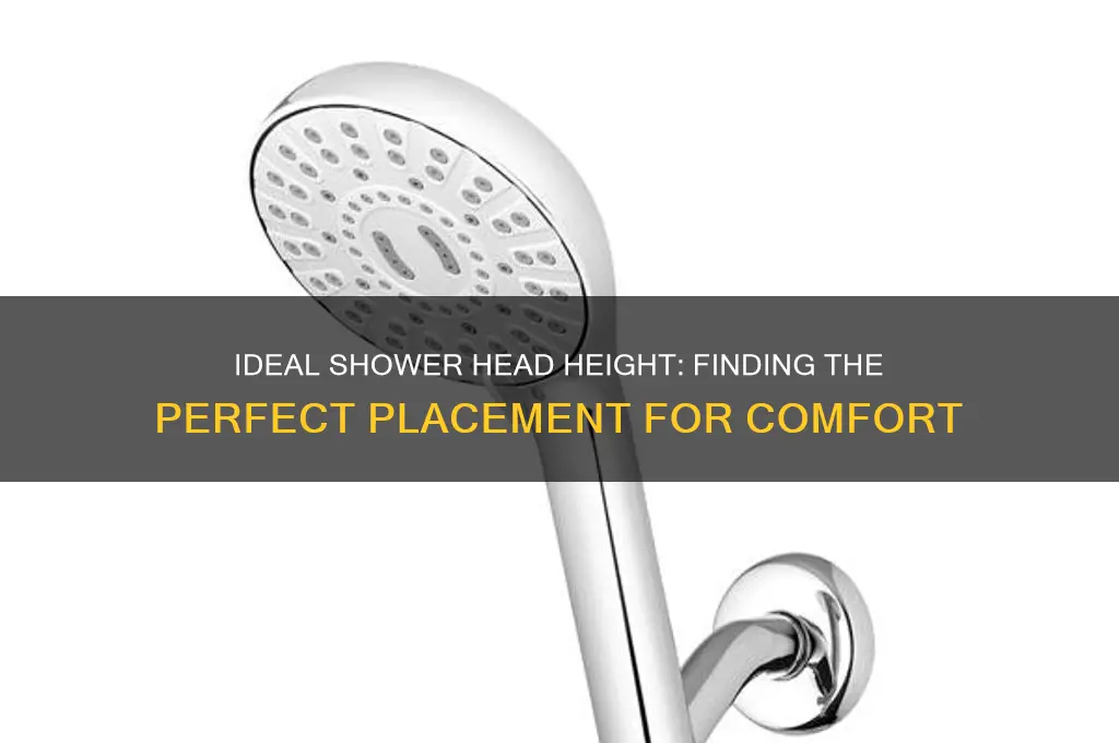 what is the minimum height for a shower head