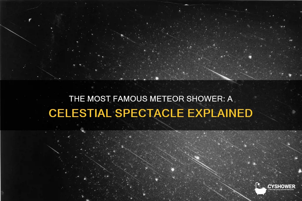 what is the most famous meteor shower