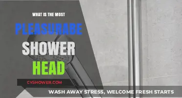 Discover the Ultimate Bliss: The Most Pleasurable Shower Head Guide