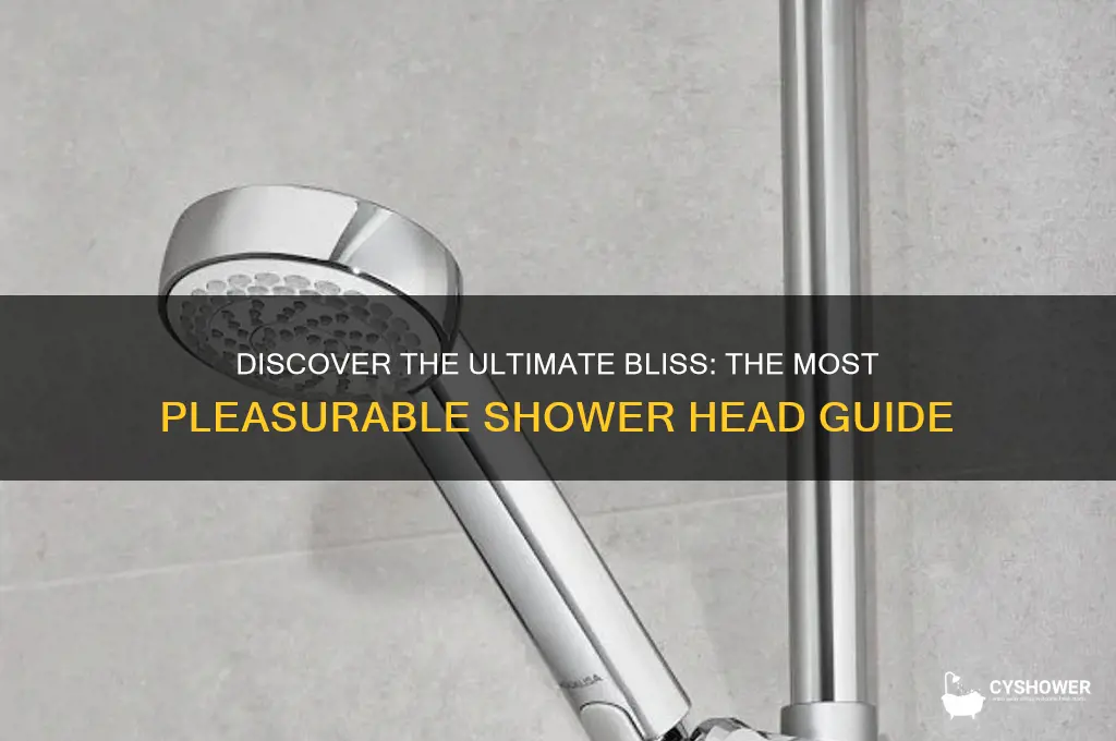 what is the most pleasurabe shower head