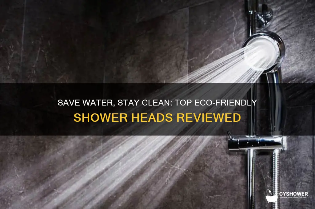 what is the most water efficient shower head