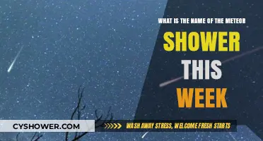 Stargazer's Guide: This Week's Meteor Shower Name Revealed