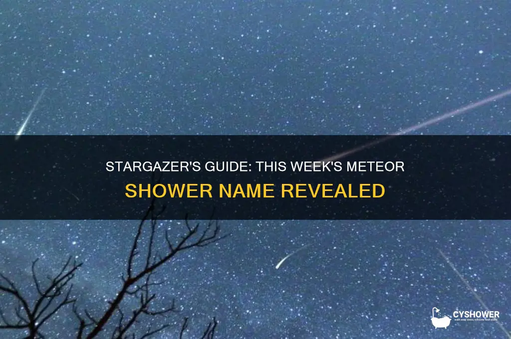 what is the name of the meteor shower this week