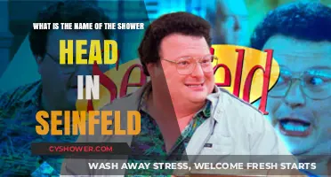 Seinfeld's Shower Head Mystery: Unveiling the Iconic Prop's Name