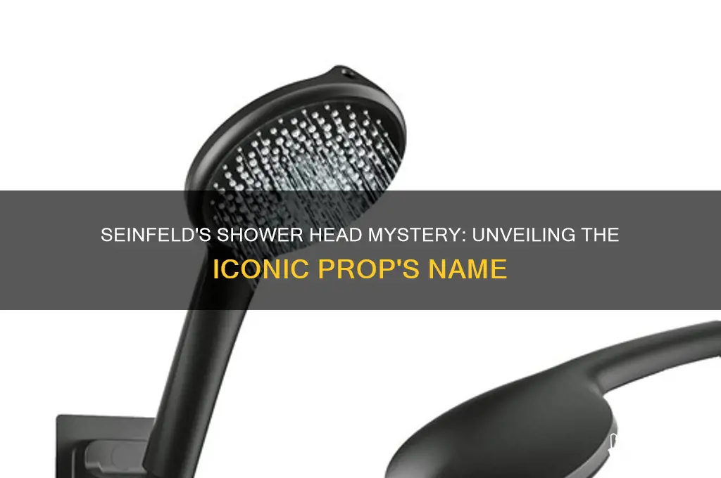 what is the name of the shower head in seinfeld