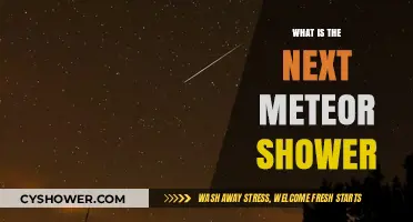 Upcoming Meteor Shower: When and Where to Watch the Night Sky