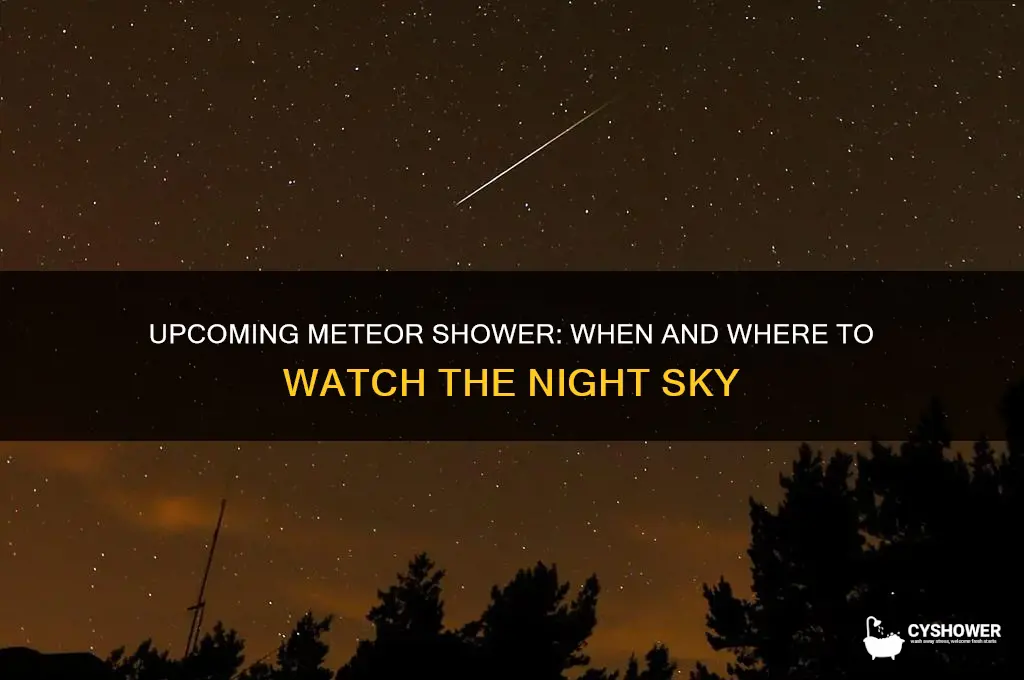 what is the next meteor shower