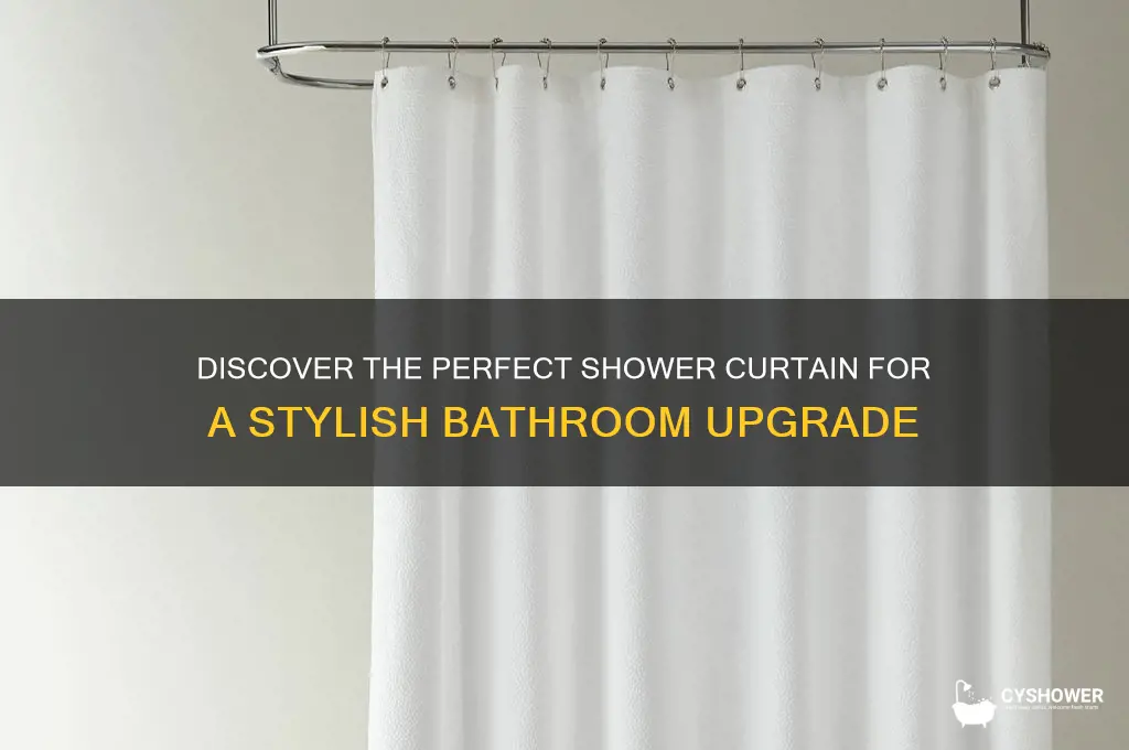what is the nice shower curtain