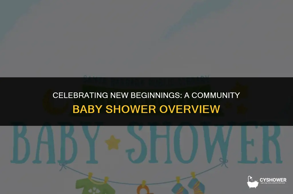 what is the overview of a community baby shower