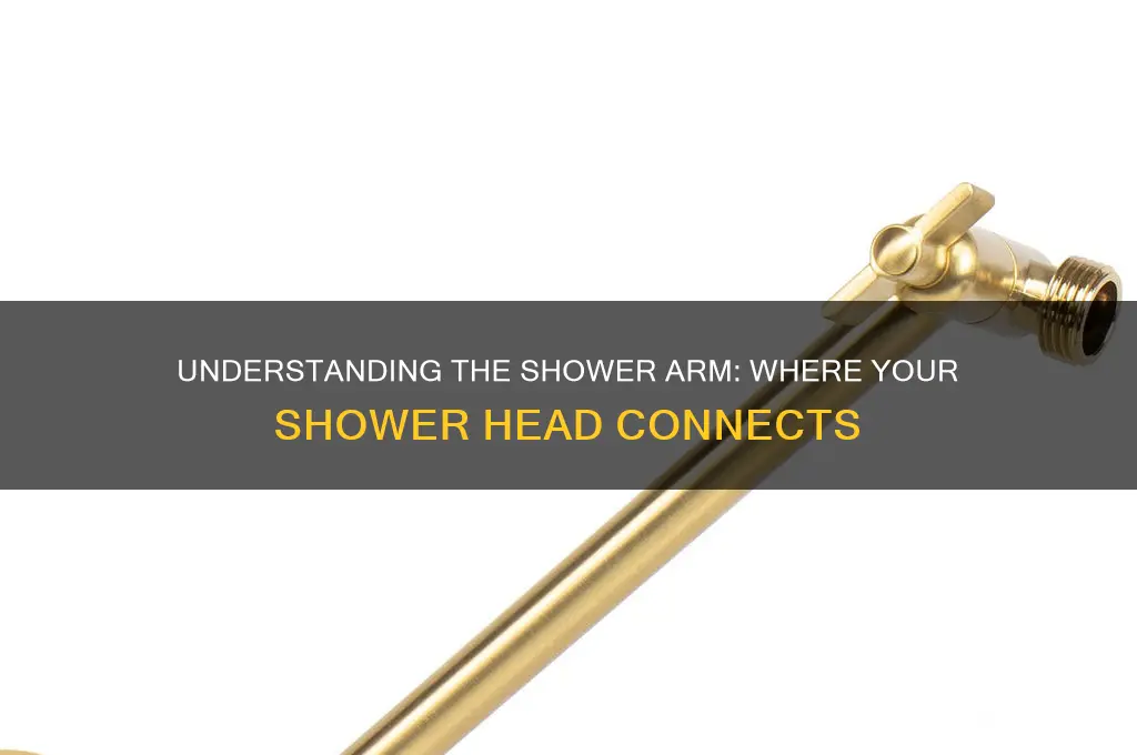 what is the part shower head attaches to