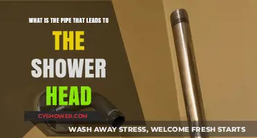 Understanding the Shower Arm: The Pipe Behind Your Shower Head