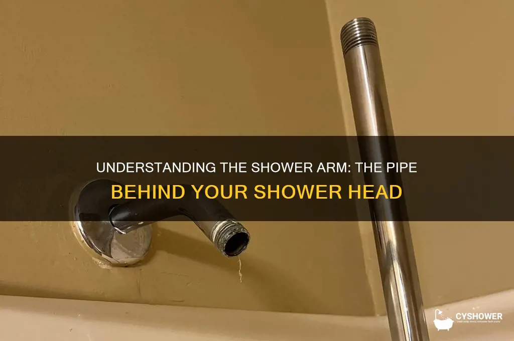 what is the pipe that leads to the shower head