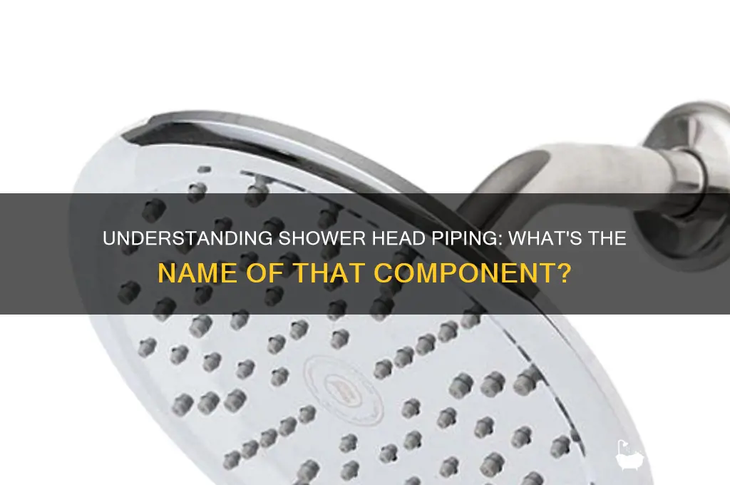 what is the piping for a shower head called