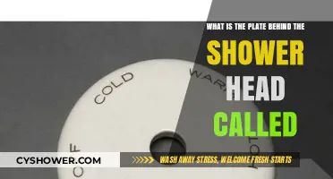 Understanding the Shower Escutcheon: The Plate Behind Your Shower Head