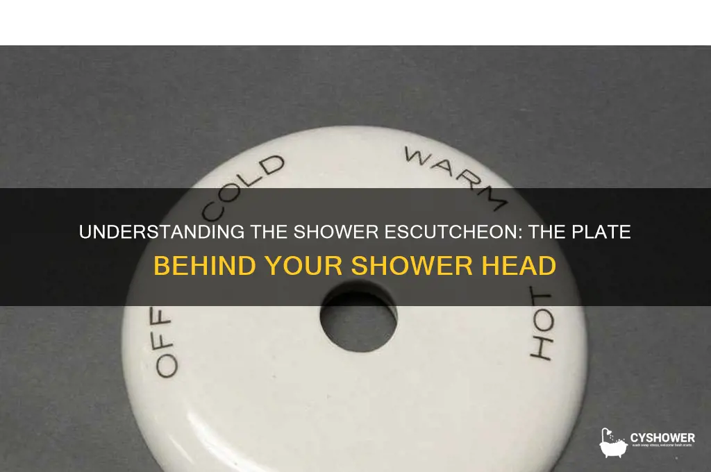 what is the plate behind the shower head called