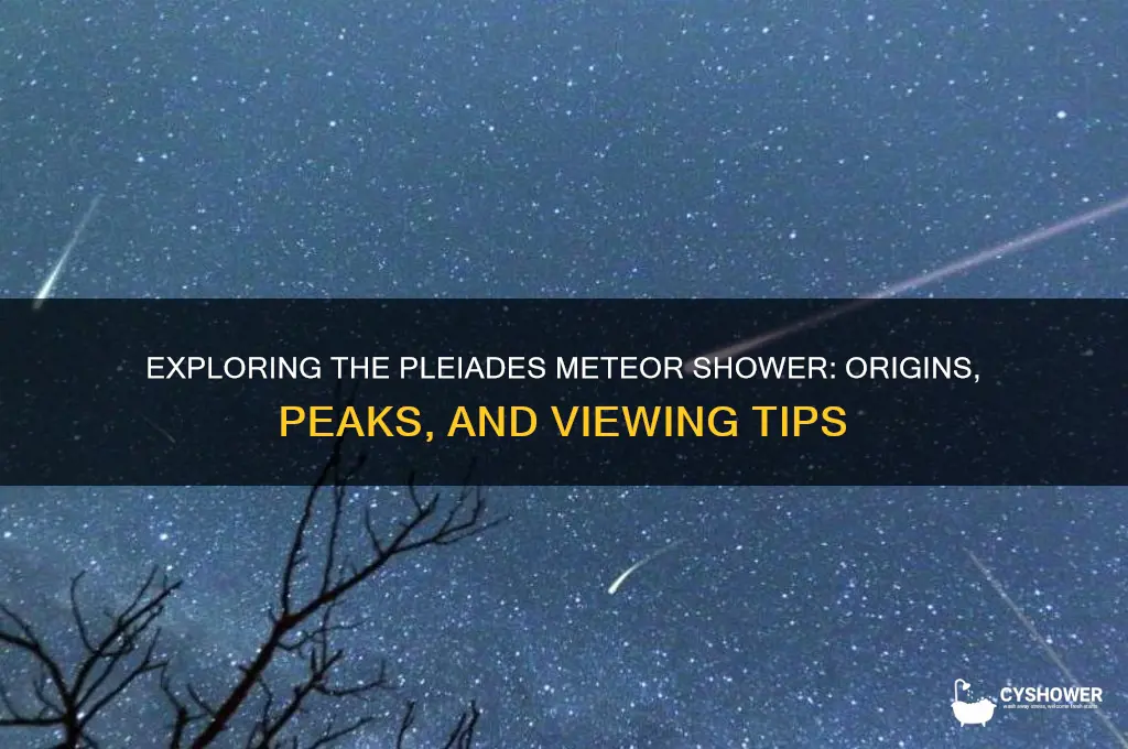 what is the pleiades meteor shower