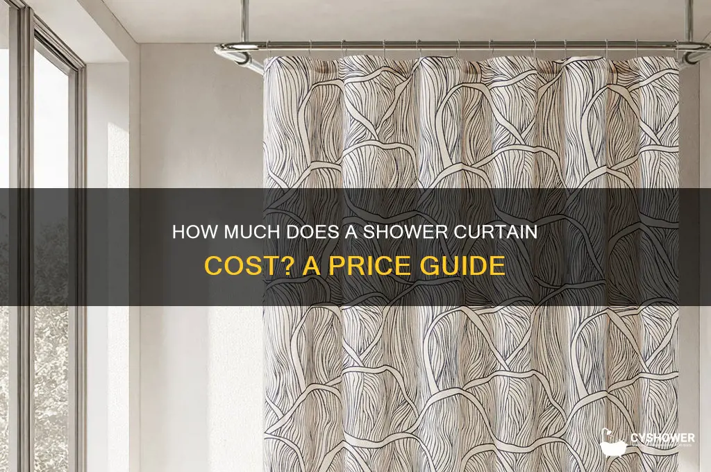 what is the price of a shower curtain