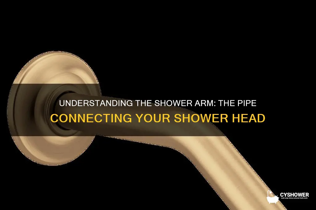 what is the pupe called that shower head attaches to