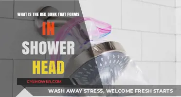 What is the Red Gunk in Your Shower Head? Explained