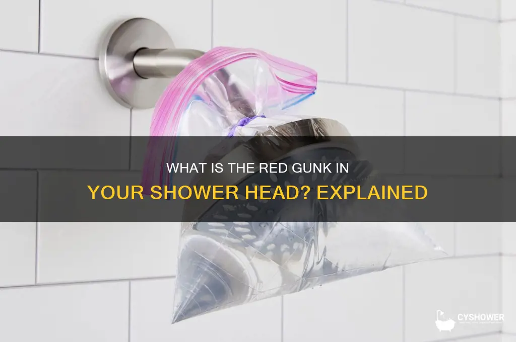 what is the red gunk that forms in shower head