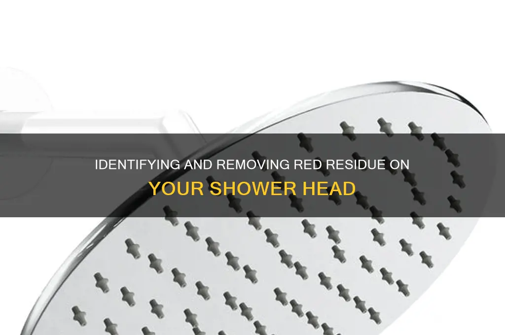 what is the red stuff on my shower head
