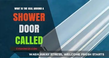 Understanding the Shower Door Seal: What’s It Called and Why It Matters