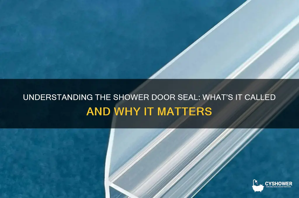 what is the seal around a shower door called