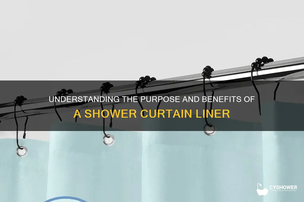 what is the shower curtain liner