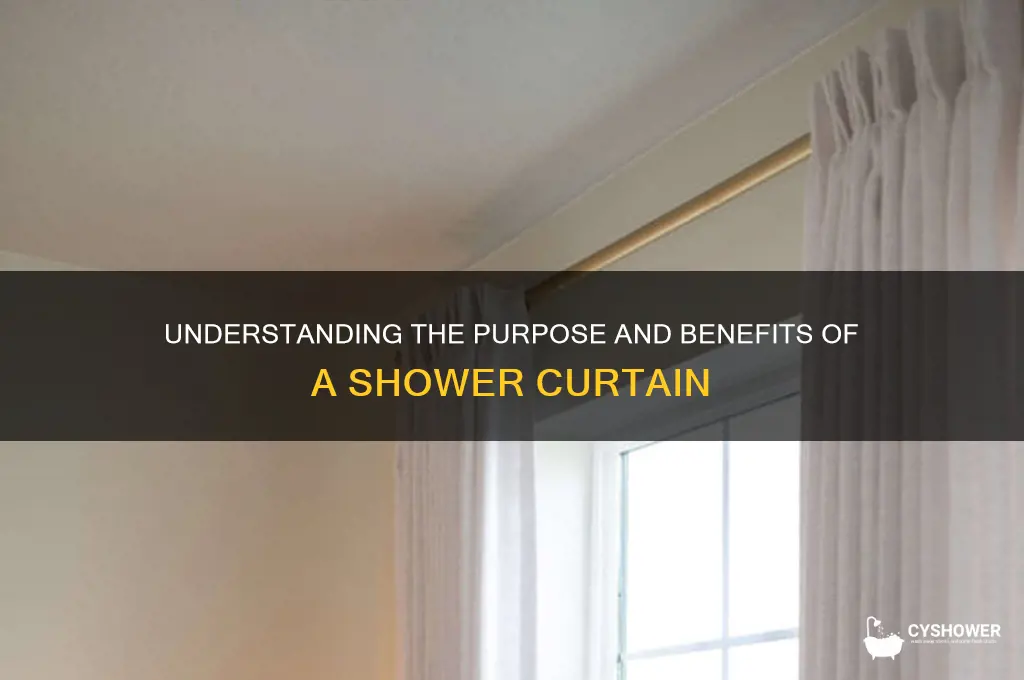 what is the shower curtain