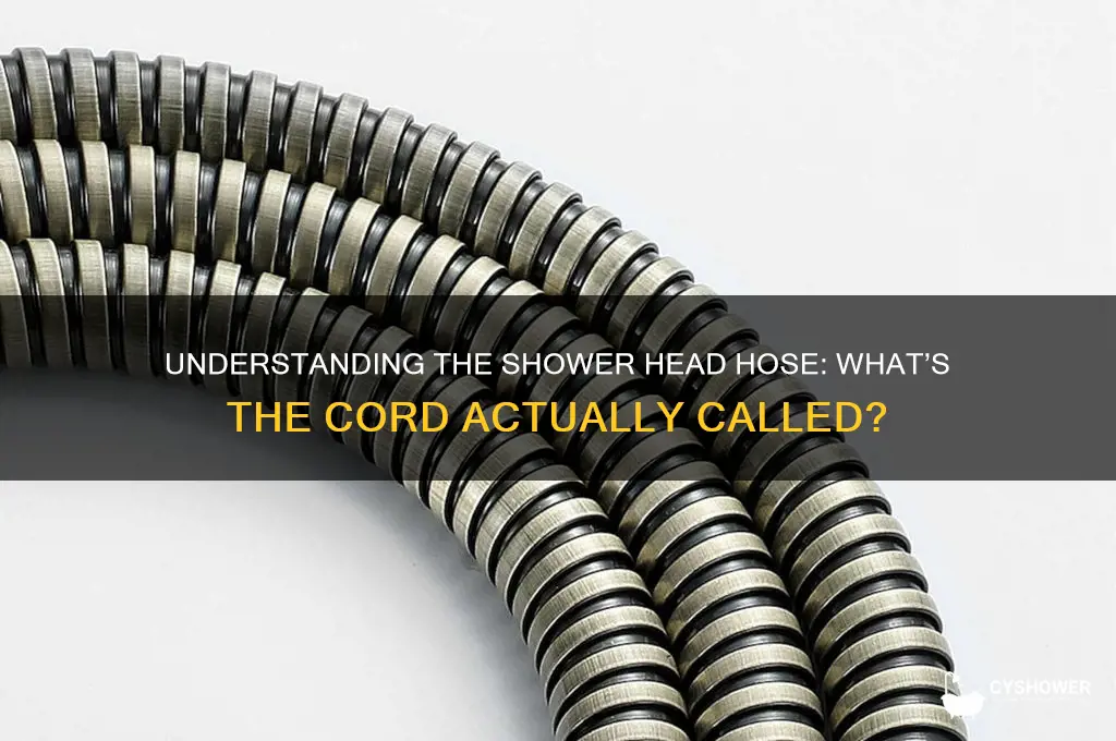 what is the shower head cord called