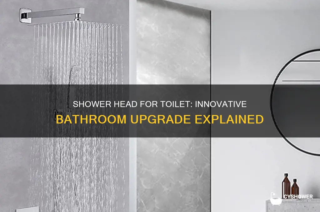 what is the shower head for toilet