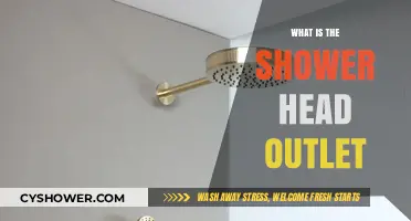 Understanding the Shower Head Outlet: Function, Types, and Maintenance Tips