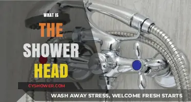 Understanding Shower Heads: Types, Functions, and Choosing the Right One
