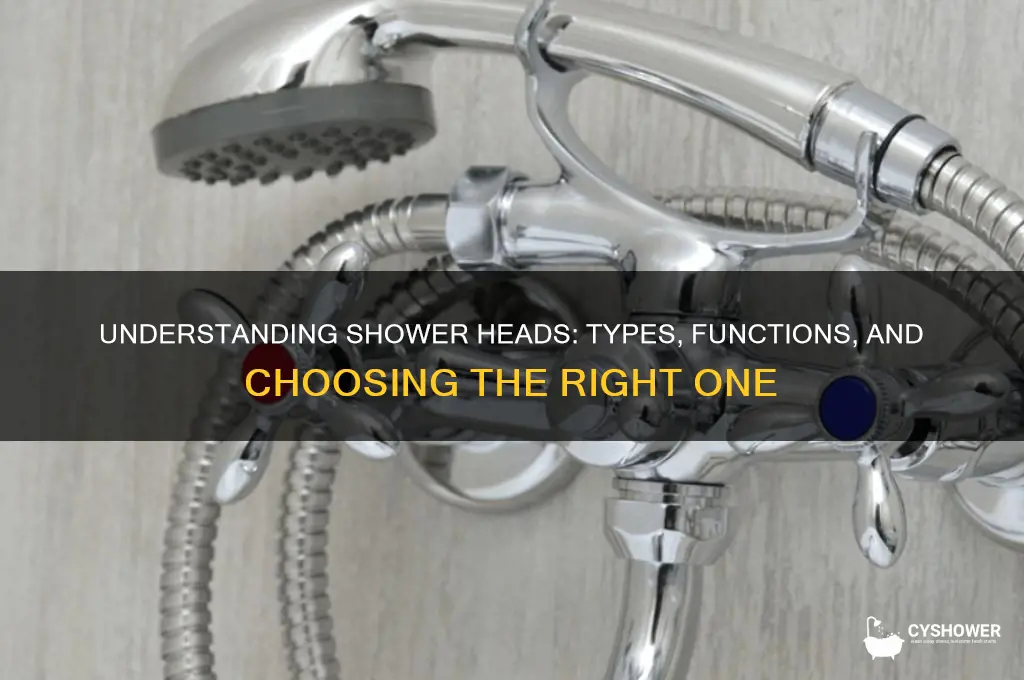 what is the shower head