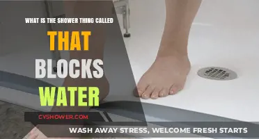 What’s the Shower Thing Called That Blocks Water? Explained