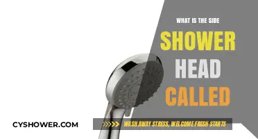 Understanding the Side Shower Head: What is it Called?
