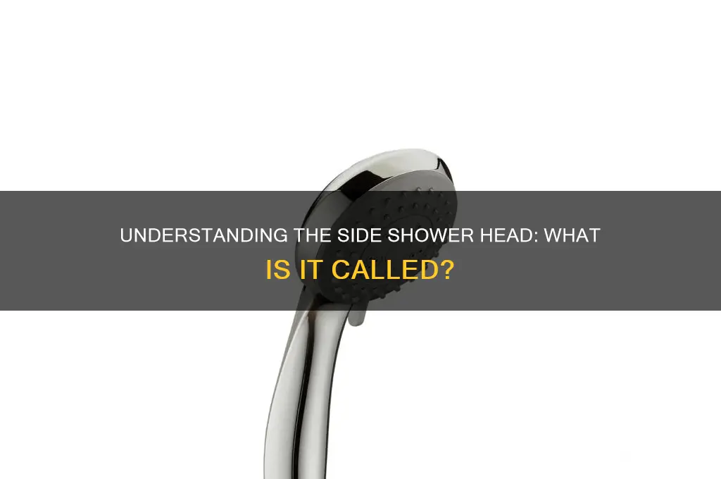 what is the side shower head called