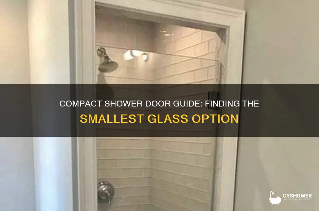 what is the smallest glass shower door