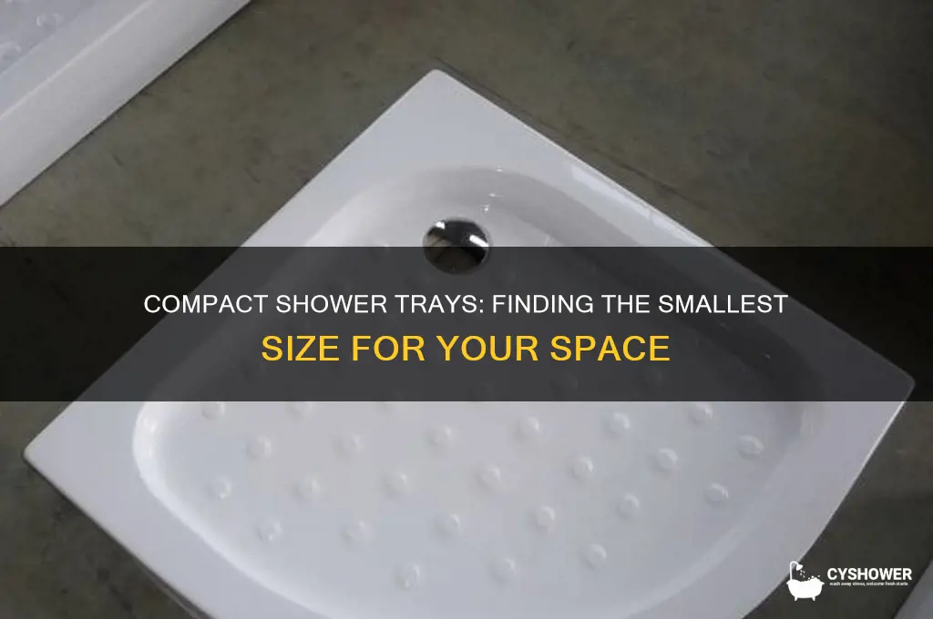 what is the smallest shower tray you can buy
