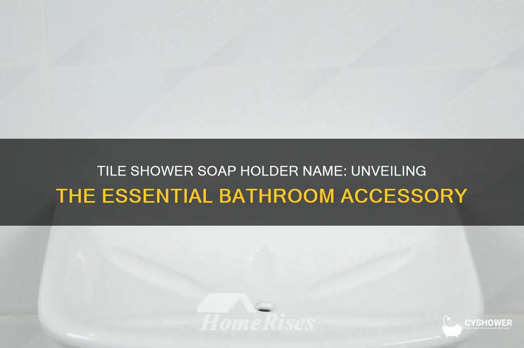 what is the soap holder called in tile shower