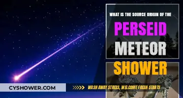 Unveiling the Celestial Source of the Perseid Meteor Shower