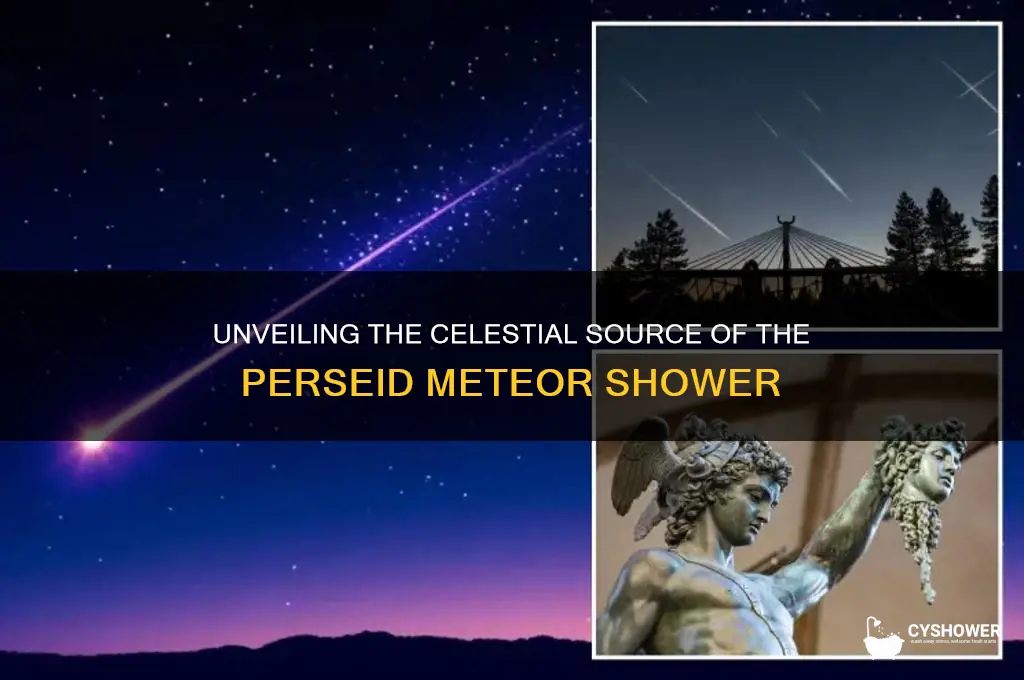 what is the source origin of the perseid meteor shower